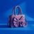 Elegant Bow Crossbody Bag