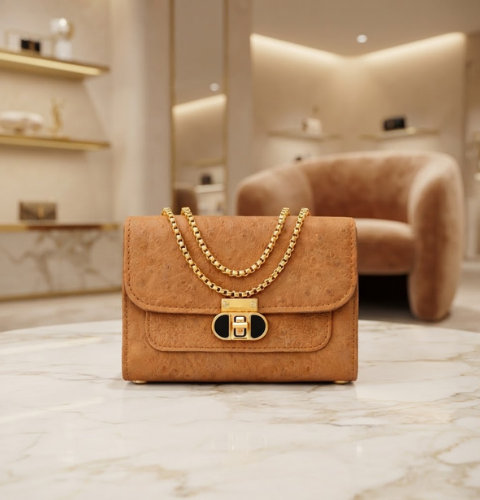 Brown Crossbody Bag