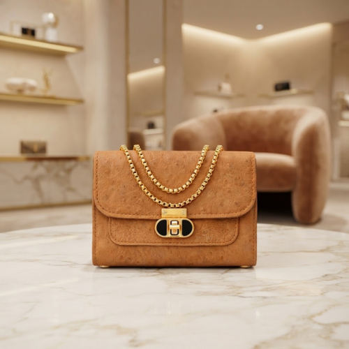 Brown Crossbody Bag