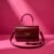 Jimmy Choo Classic Hand Bag