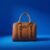 Versatile Hand Bag