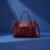 Spacious Hand Bag