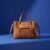 Stylish Ladies Hand Bag