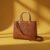 Brown Dior Hand Bag