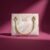 Elegant Hand Bag