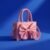 Premium Bow Crossbody Bag