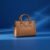 Skin Gucci Hand Bag