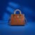 Brown Gucci Hand Bags