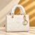 Dior Top Handle Bag